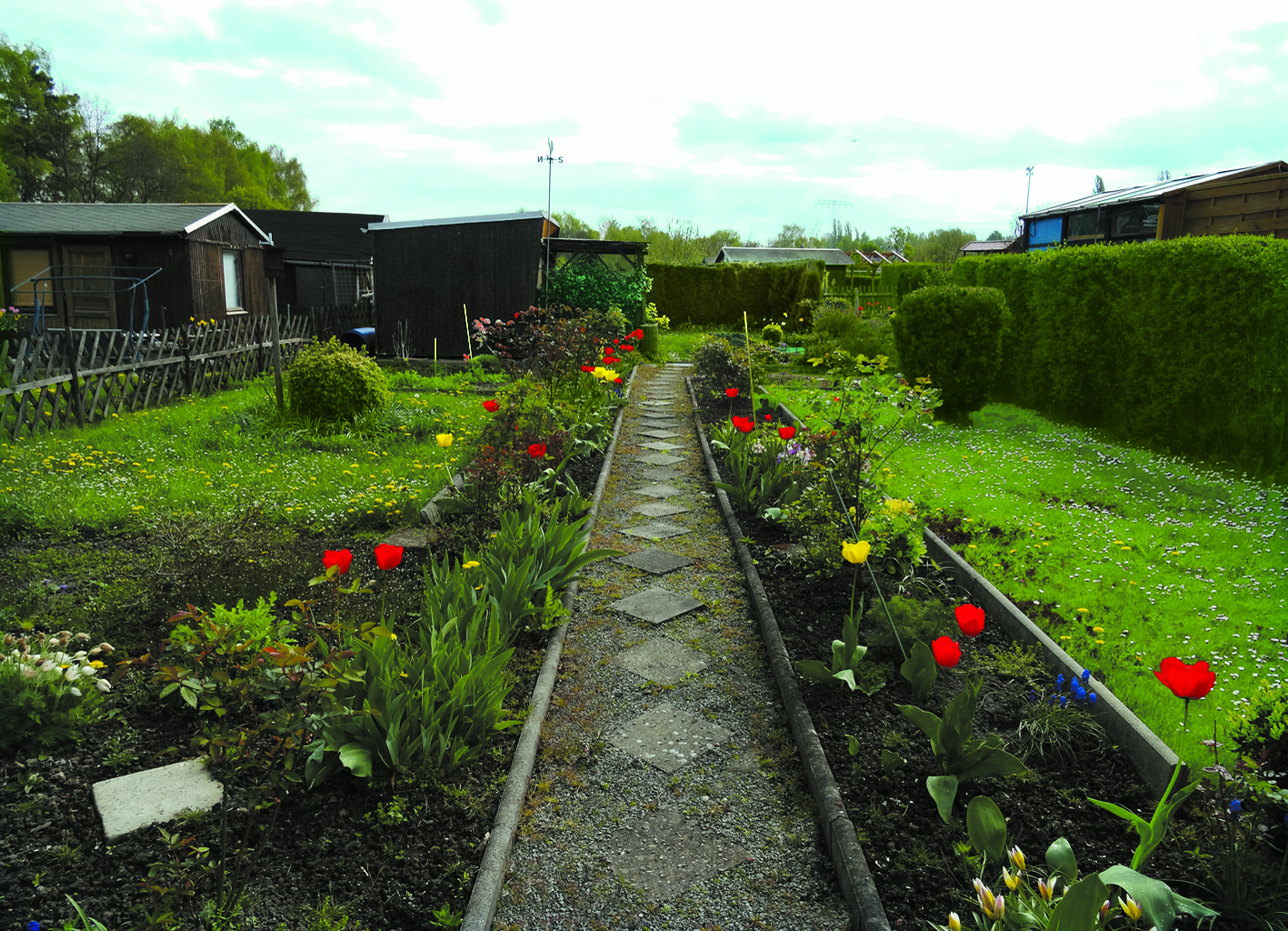 Garten 12