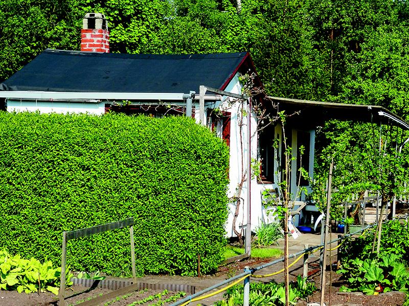 Garten 159