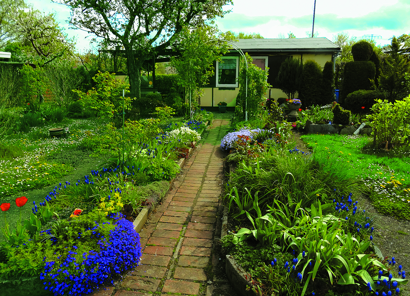 Garten 29